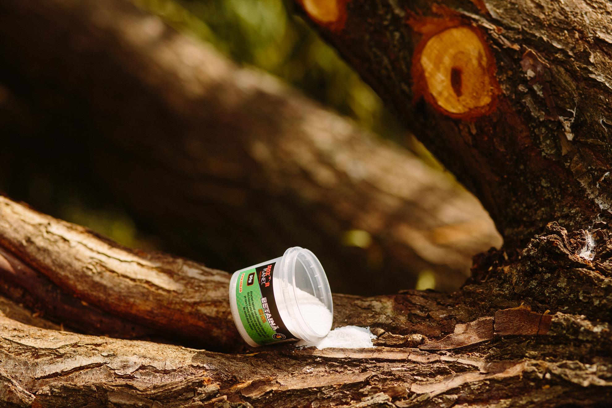 SNZ 2017 - senzor-pe-balta---041.jpg